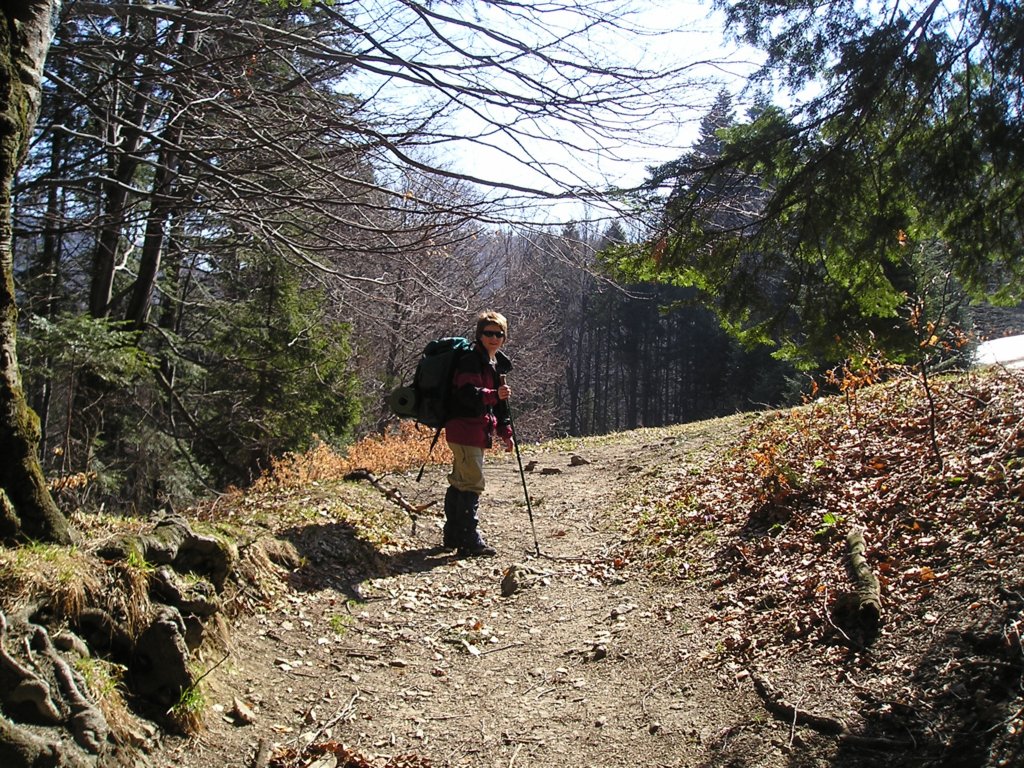p1010012.jpg